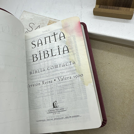 Santa Biblia Ntv, Edicion Compacta, Cafe Latte by Tyndale: New
