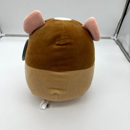 Squishmallows 11” Garret BROWN GUINEA PIG Pet Squad Plush NWT