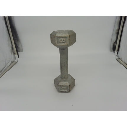 single 8 Pound Cast Iron Hex Cap Dumbbells 8 Lbs Workout Weight Lifting doorsto