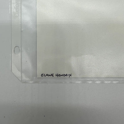 Elaine Hendrix hendrix signed picture (lady from parent trap and get smart)