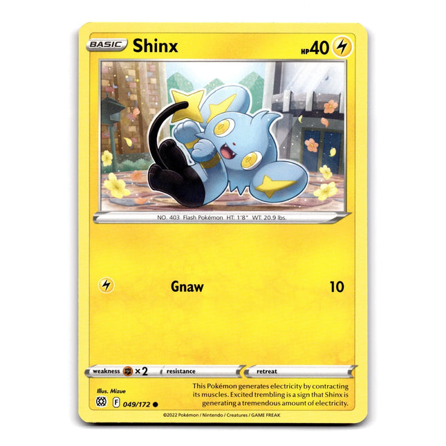 Shinx Common SWSH09: Brilliant Stars 049/172 NM