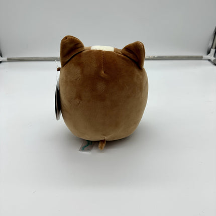 Squishmallows Regina the Corgi Dog Best Friends Kelly Toys Plush Stuff Animal