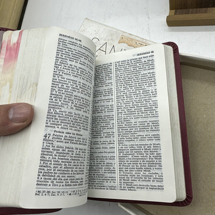 Santa Biblia Ntv, Edicion Compacta, Cafe Latte by Tyndale: New