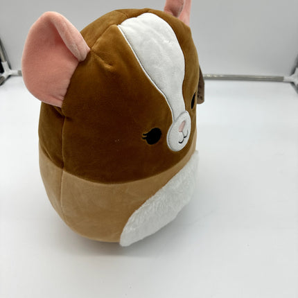Squishmallows 11” Garret BROWN GUINEA PIG Pet Squad Plush NWT