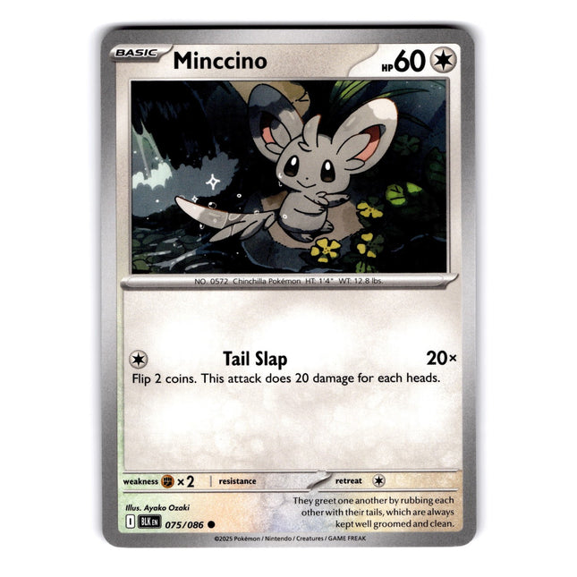 Minccino Common SV: Black Bolt 075/086 NM