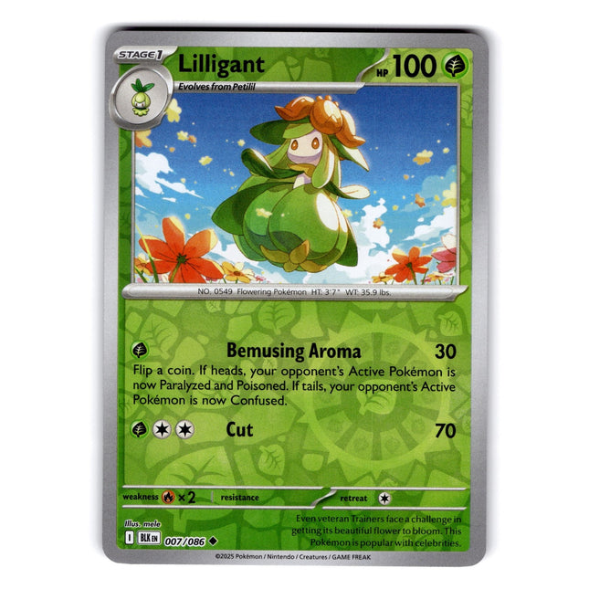 Lilligant Uncommon SV: Black Bolt 007/086 NM