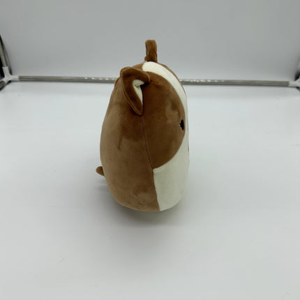 Squishmallows Regina the Corgi Dog Best Friends Kelly Toys Plush Stuff Animal