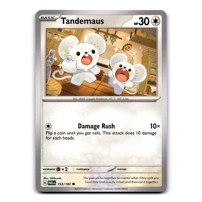 Tandemaus Common SV04: Paradox Rift 153/182 NM