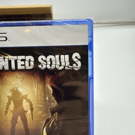 Tormented Souls 'New & Sealed' Playstation PS5 Imported! USA Seller