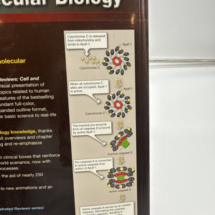 Lippincott Illustrated Reviews: - Paperback, by Chandar Ph.D. Dr. - Very Good v