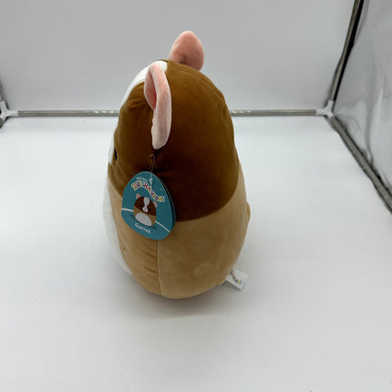 Squishmallows 11” Garret BROWN GUINEA PIG Pet Squad Plush NWT