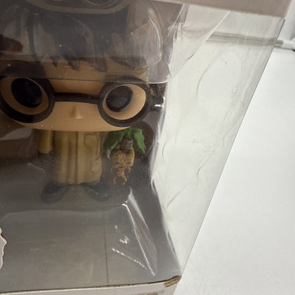 Funko Pop! Vinyl: Harry Potter - Harry Potter #55