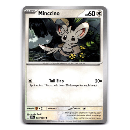 Minccino Common SV: Black Bolt 075/086 NM