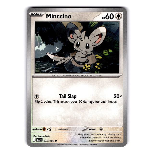 Minccino Common SV: Black Bolt 075/086 NM