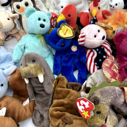 Huge TY Beanie Babie Lot Of 54, Rare Variants, Bears, Animals. Collector Plushes