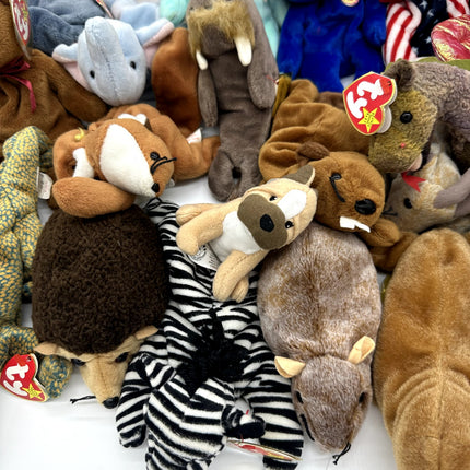 Huge TY Beanie Babie Lot Of 54, Rare Variants, Bears, Animals. Collector Plushes