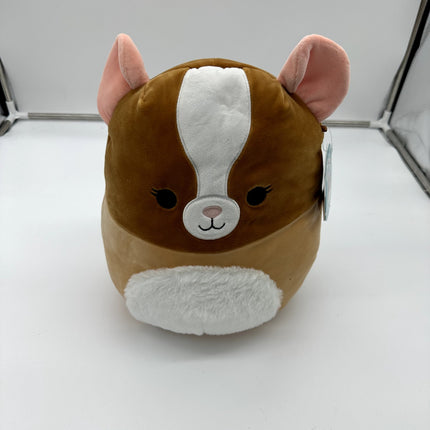 Squishmallows 11” Garret BROWN GUINEA PIG Pet Squad Plush NWT