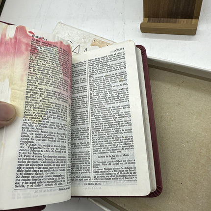 Santa Biblia Ntv, Edicion Compacta, Cafe Latte by Tyndale: New